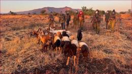 Police overpowered cattle rustlers in Isiolo County.